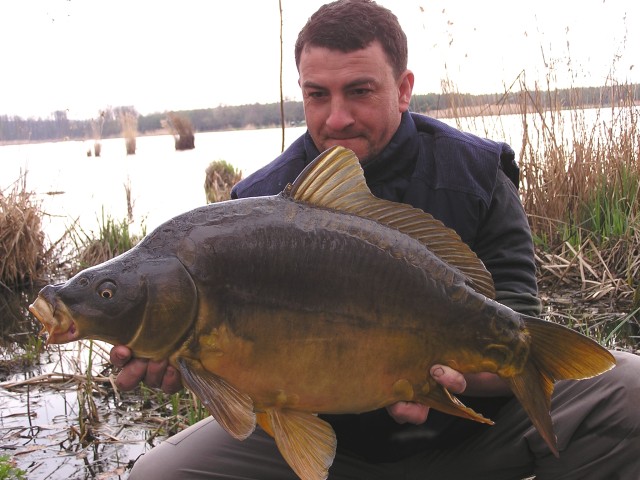 Har�mfa2005