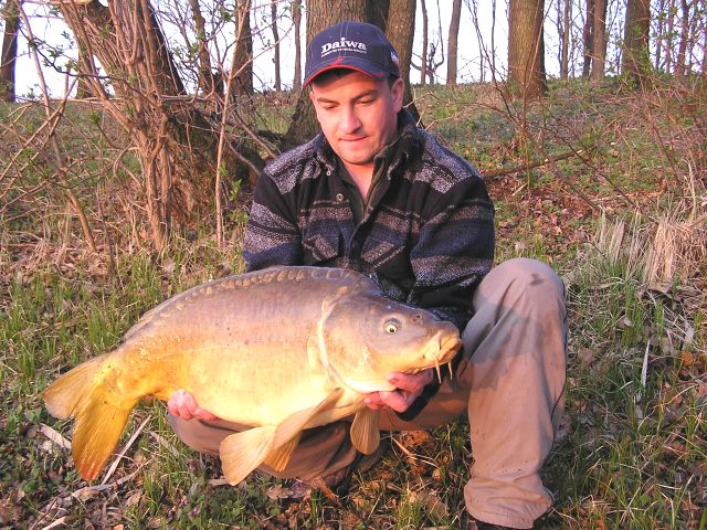 Har�mfa2005