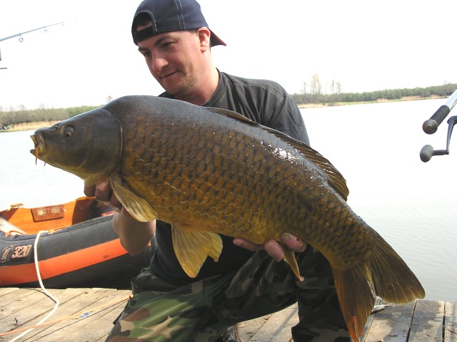 Har�mfa2005