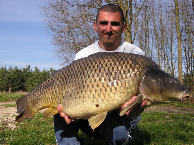 Kapor 14kg