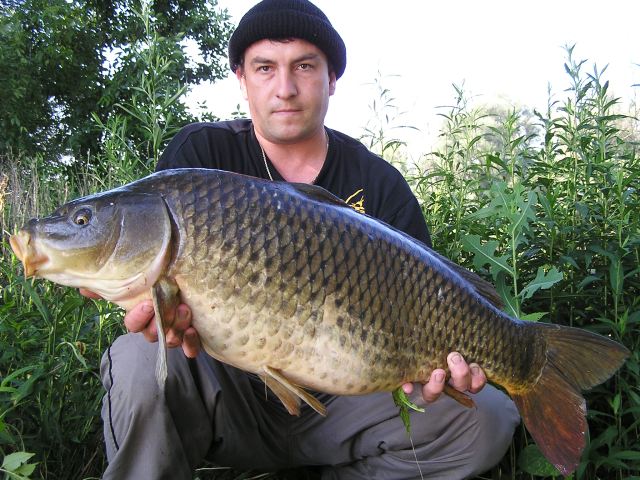 Kapor 10kg