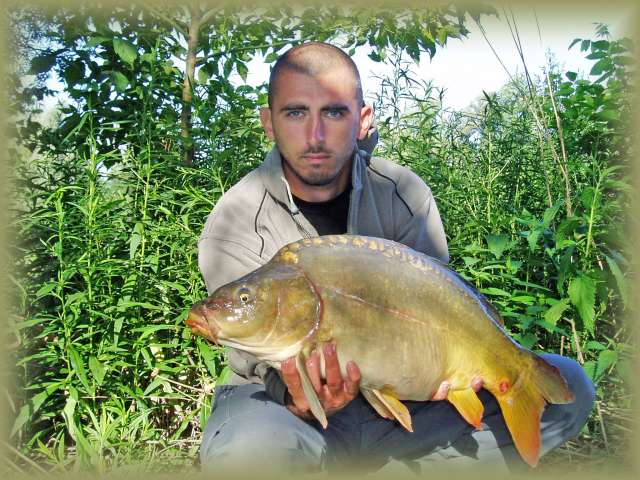 Kapor 12kg