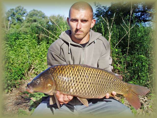 Kapor 12kg