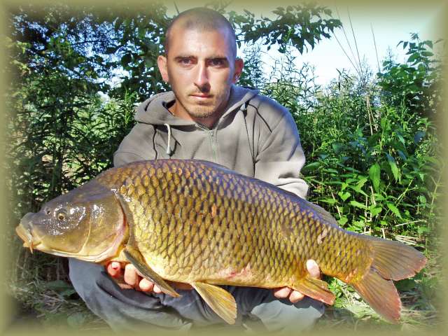 Kapor 13kg