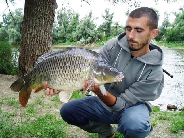 Kapor 7kg