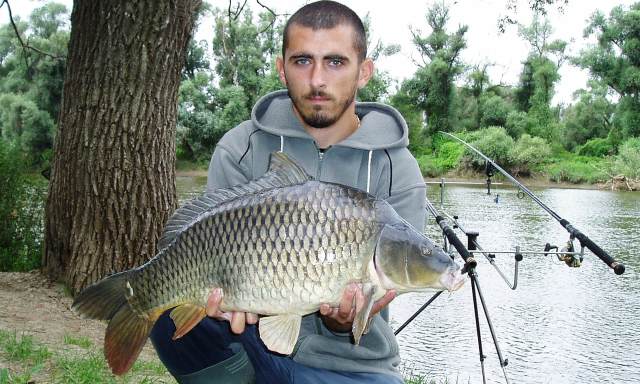 Kapor 10kg