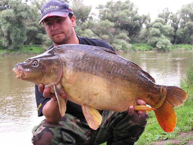 Kapor 9kg