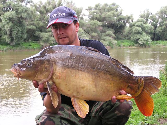 Kapor 9kg