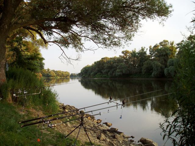 Morava2004