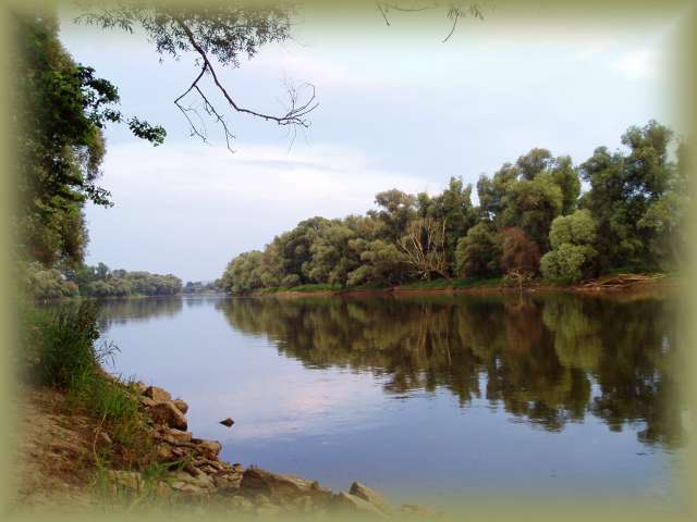 morava2006